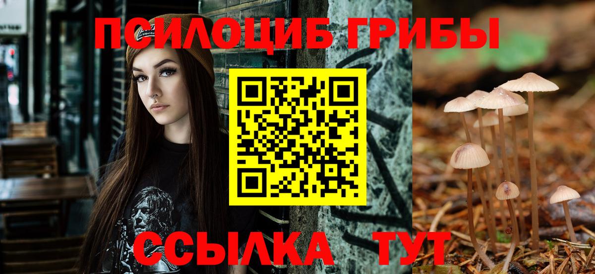 Псилоцибиновые грибы Psilocybine cubensis  Вход с VPN  Кинель 