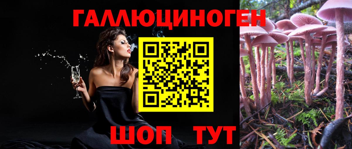 Галлюциногенные грибы Magic Shrooms Кинель
